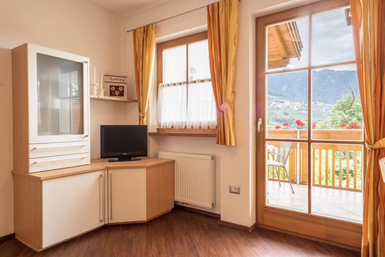 Tischlerhof - Typ B Mit Terrasse Apartment Тироло Екстериор снимка